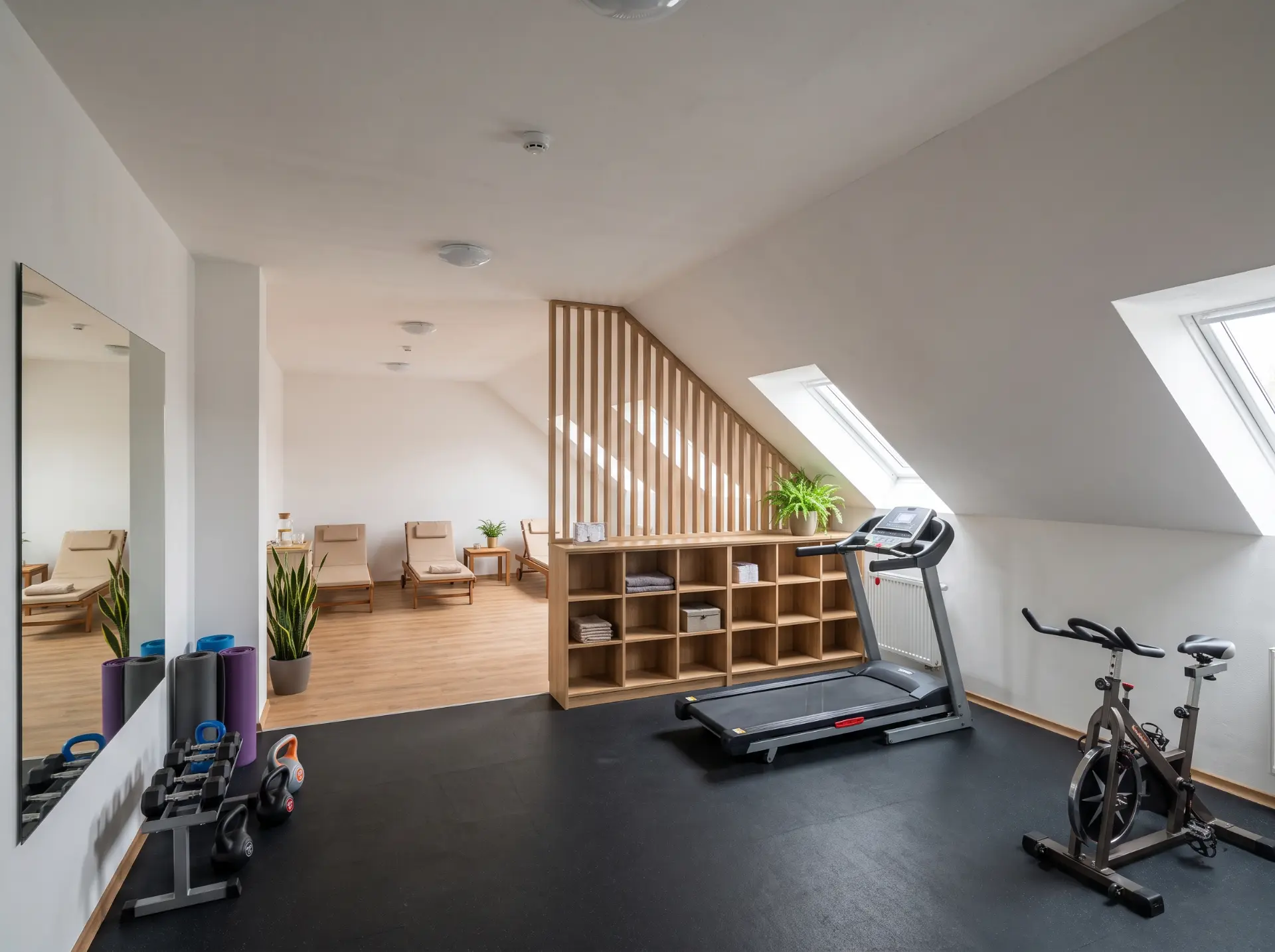 Fitness v podkroví s běžeckým pásem a rotopedem